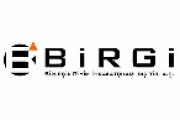 logo-birgi-dis-ticaret