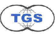 logo-tgs-dis-ticaret
