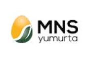 mns